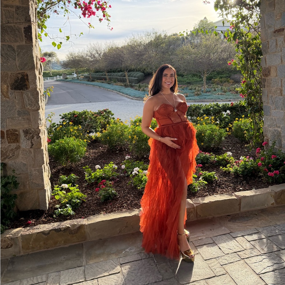 For Love And Lemons Bustier Gown in Rust